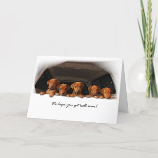 Rhodesian Ridgeback greeting card - Get well soon