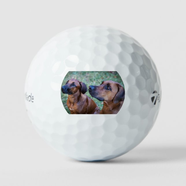 rhodesian-ridgeback-group golf balls (Front)
