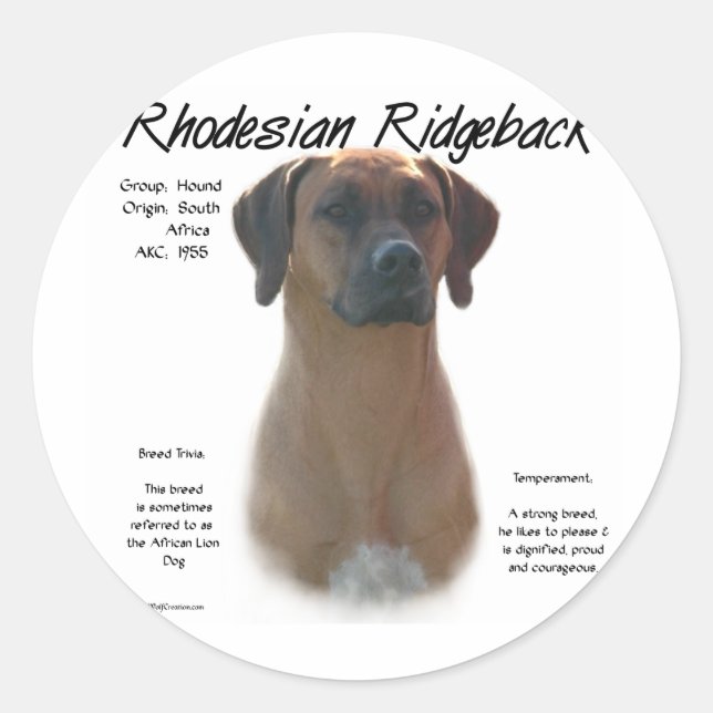 Rhodesian Ridgeback History Design Classic Round Sticker (Front)