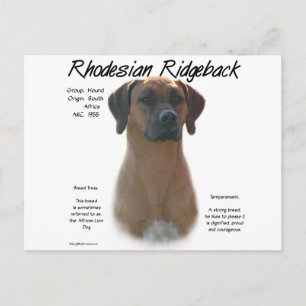 Rhodesian Ridgeback History Design Postcard