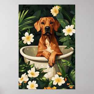 Rhodesian Ridgeback In Bathtub Poster, Funny Dog Poster