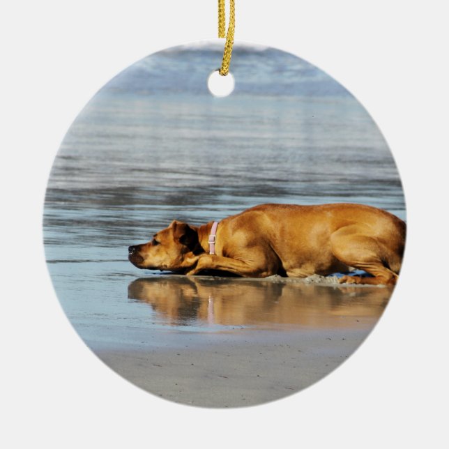 Rhodesian Ridgeback - Is the Water Cold? Ceramic Ornament (Front)