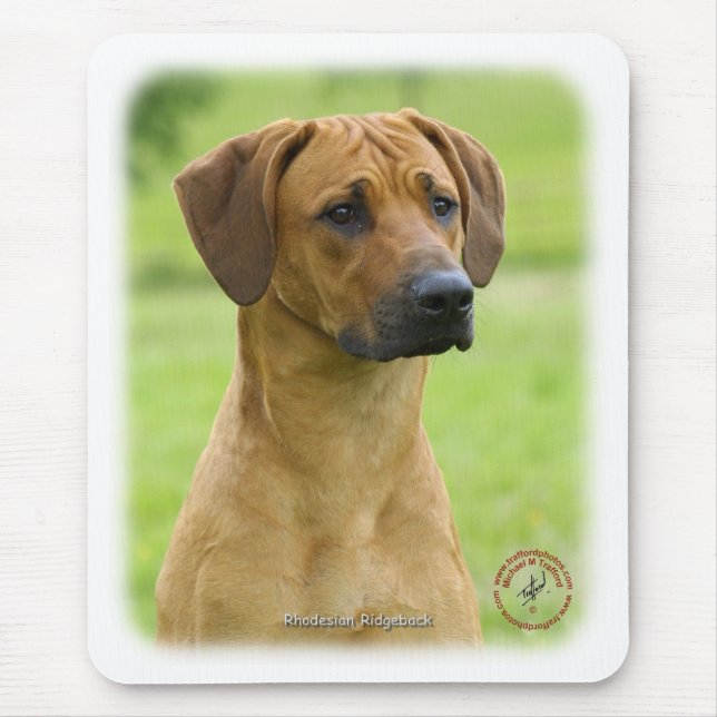 Rhodesian Ridgeback Mouse Pad (Front)