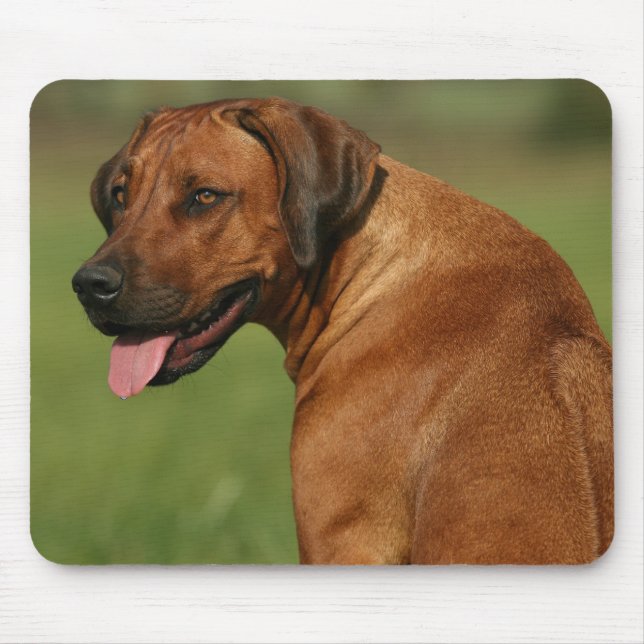 Rhodesian Ridgeback Mousepad (Front)