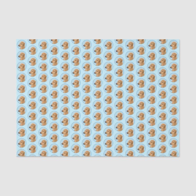 Rhodesian Ridgeback Painting - Original Dog Art Tissue Paper (Front)