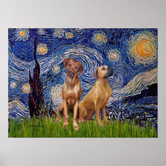 Rhodesian Ridgeback Pair - Starry Night Poster (Front)