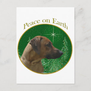 Rhodesian Ridgeback Peace Postcard