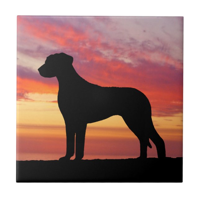 Rhodesian Ridgeback Persimmon Sunset Silhouette Tile (Front)