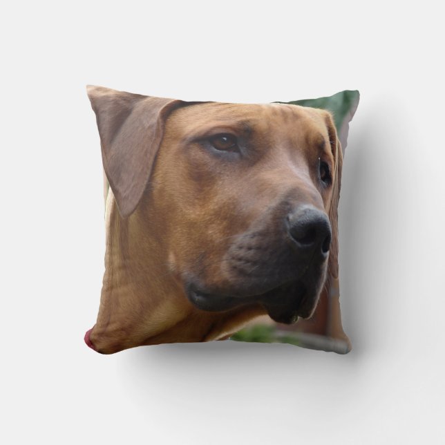 Rhodesian Ridgeback Pillow (Front)