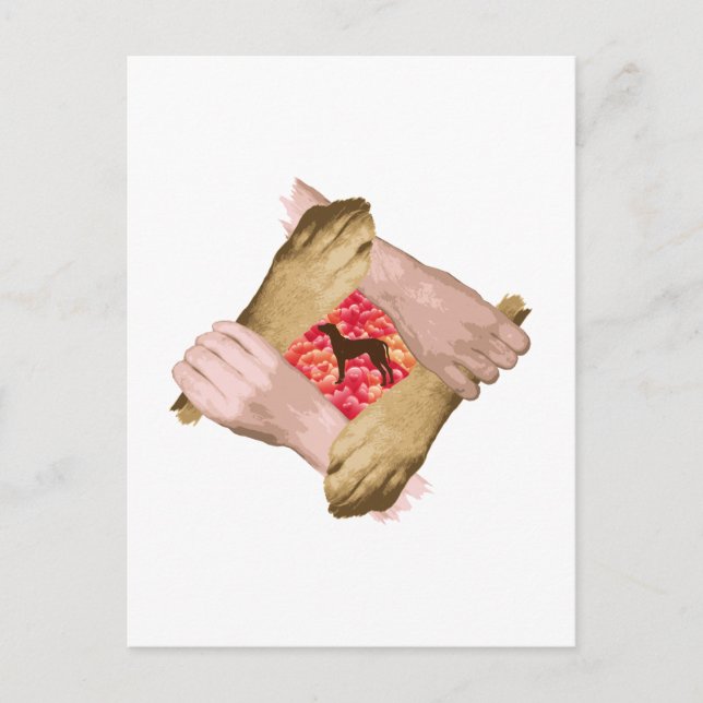 Rhodesian Ridgeback Postcard (Front)