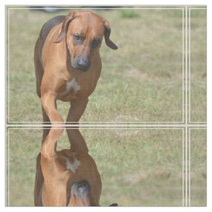 Rhodesian Ridgeback Prancing Fabric