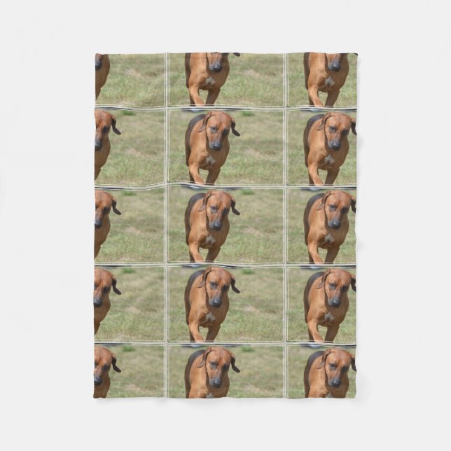 Rhodesian Ridgeback Prancing Fleece Blanket (Front)