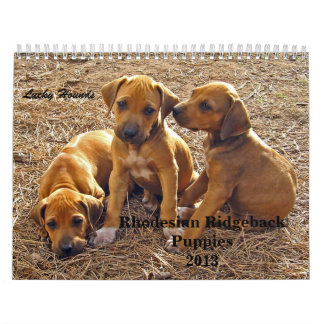 Rhodesian Ridgeback Puppies 2013 Calendar
