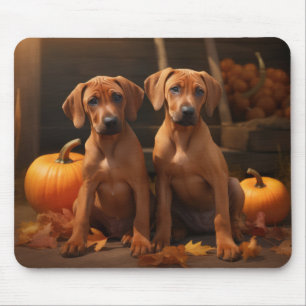 Rhodesian Ridgeback Puppy Autumn Delight Pumpkin  Mouse Pad