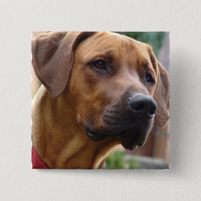 Rhodesian Ridgeback Square Pin (Front)