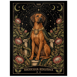 Rhodesian Ridgeback, Starlit Tarot Art Postcard