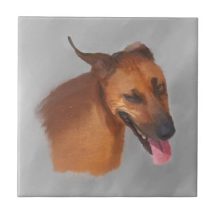 Rhodesian Ridgeback Tile