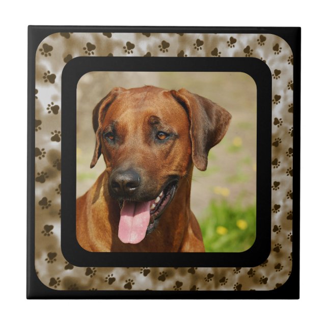 RHODESIAN RIDGEBACK TILE (Front)