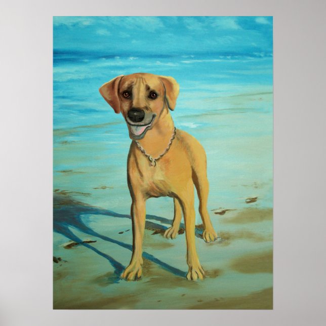 Rhodesian Ridgeback "Tony" Smiles Poster (Front)