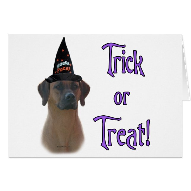 Rhodesian Ridgeback Trick (Front Horizontal)