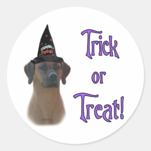 Rhodesian Ridgeback Trick Classic Round Sticker