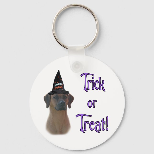 Rhodesian Ridgeback Trick Keychain (Front)
