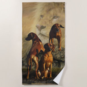 Rhodesian Ridgeback with Lion  Beach Towel