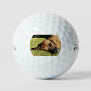 rhodie laying flat golf balls