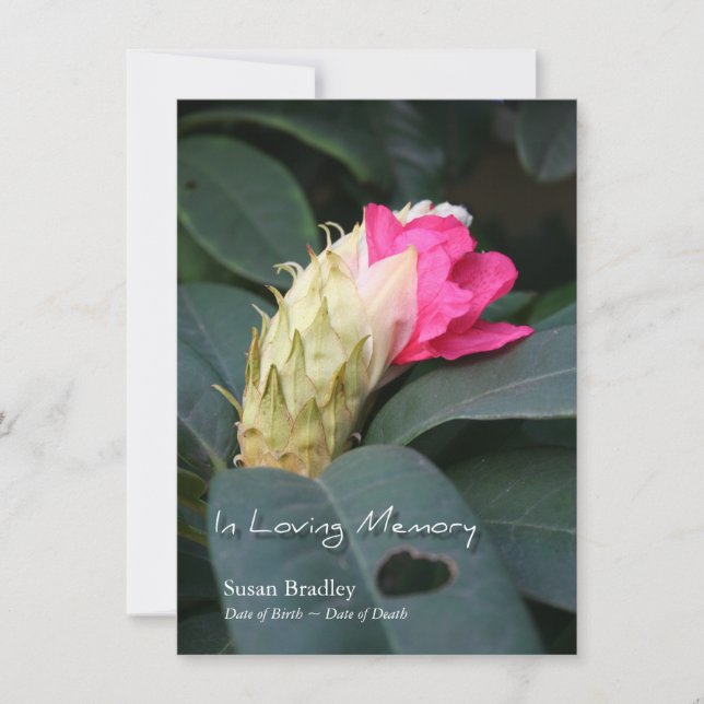 Rhododendron 2 Celebration of Life Invitation (Front)