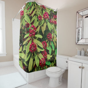 Rhododendron Bloom