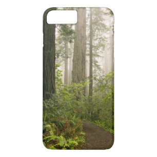 Rhododendron blooming among the Coast Redwoods / Case-Mate iPhone Case