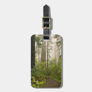 Rhododendron blooming among the Coast Redwoods / Luggage Tag