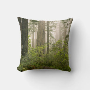 Rhododendron blooming among the Coast Redwoods / Throw Pillow