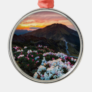 Rhododendron Blooming   Taroko National Park Metal Ornament