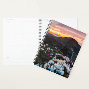 Rhododendron Blooming   Taroko National Park Planner