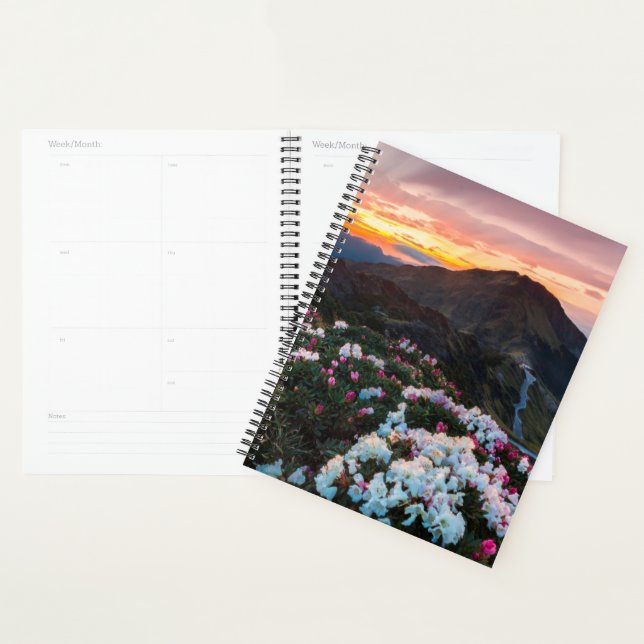 Rhododendron Blooming | Taroko National Park Planner (Display)