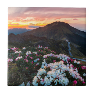 Rhododendron Blooming   Taroko National Park Tile