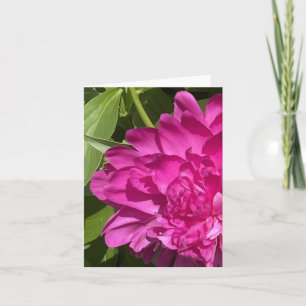 Rhododendron Close-up Flower Plant Photo Note Card