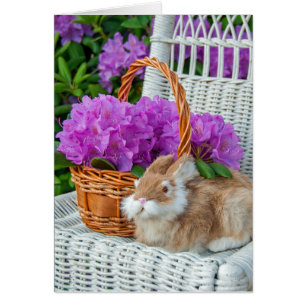 Rhododendron et lapin sur la chaise