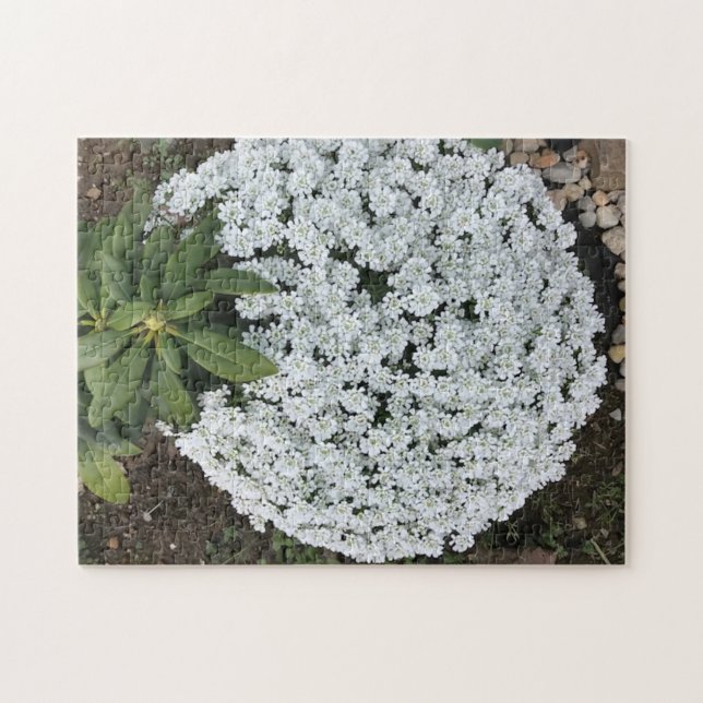 Rhododendron Feuille Candy Tufts Fleurs Puzzles (Horizontal)