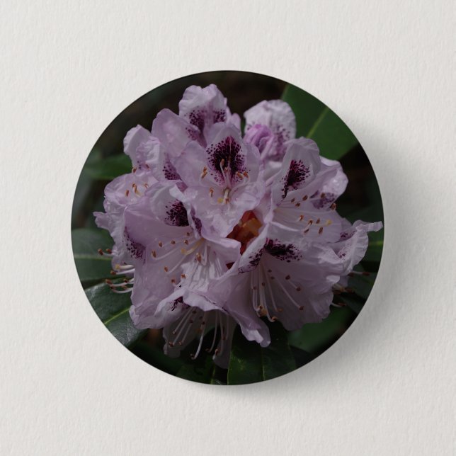 Rhododendron Flower Badge 2 Inch Round Button (Front)
