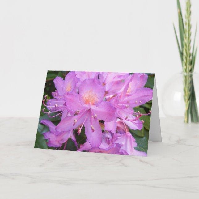 Rhododendron Flower Birthday Card (Front)