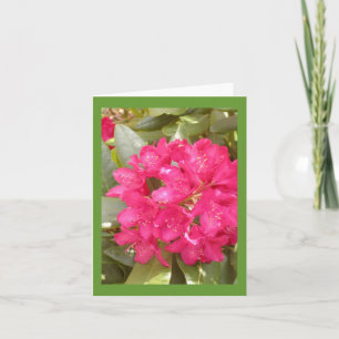 Rhododendron Flower greeting card