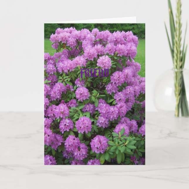 Rhododendron, Friend Card (Front)