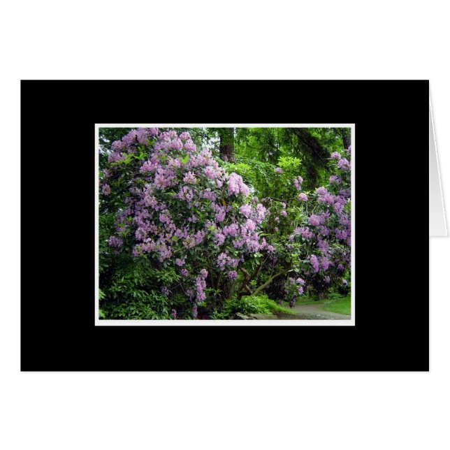 Rhododendron Grove (Devant horizontal)