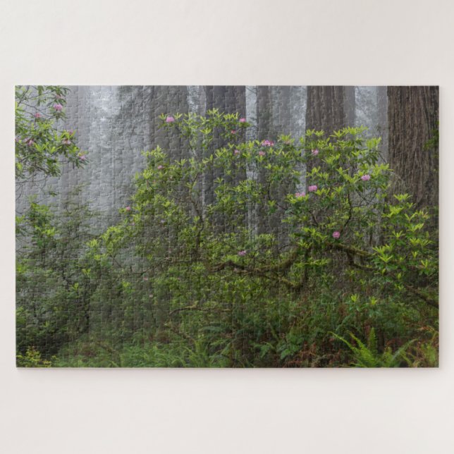 Rhododendron in Redwood National Park California Jigsaw Puzzle (Horizontal)