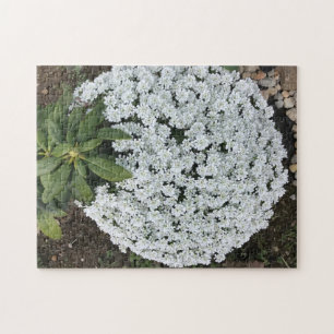 Rhododendron Leaves Candy Tufts Flowers Puzzles