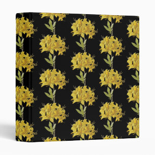 Rhododendron luteum (Pontic Azalea) Binder