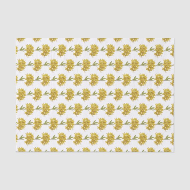 Rhododendron luteum (Pontic Azalea) Tissue Paper (Front)