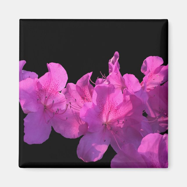 Rhododendron Magnet (Front)